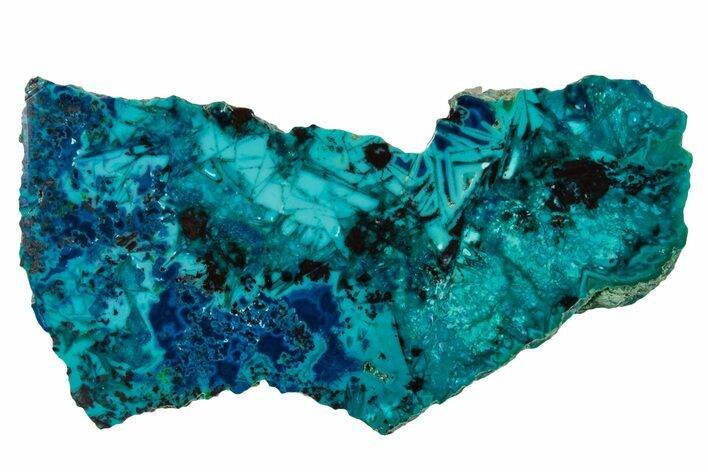 Vibrant Chrysocolla and Shattuckite Section - Mexico #337052